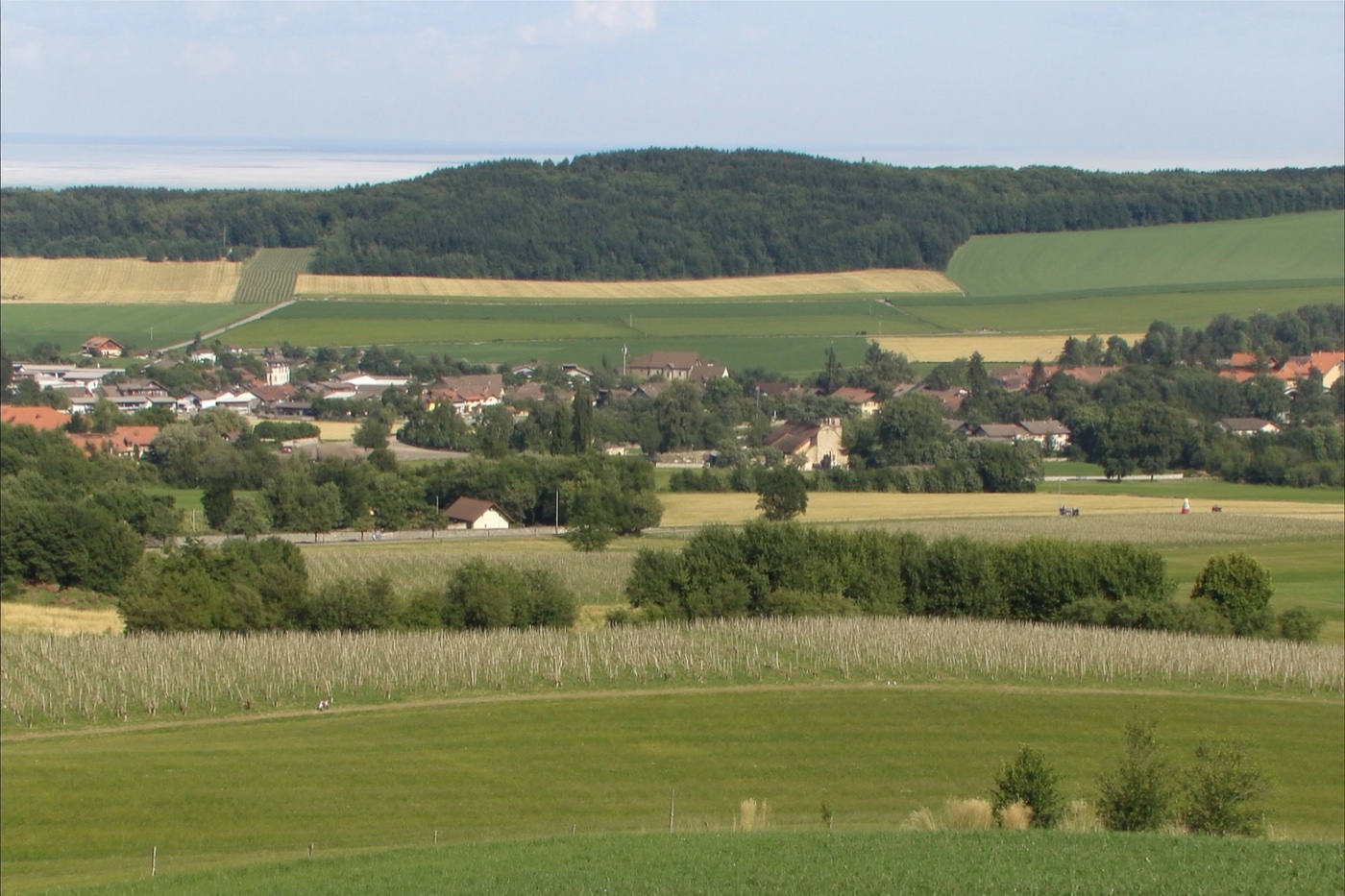 La campagne et les vignes du Bas-Chablais autour de Douvaine